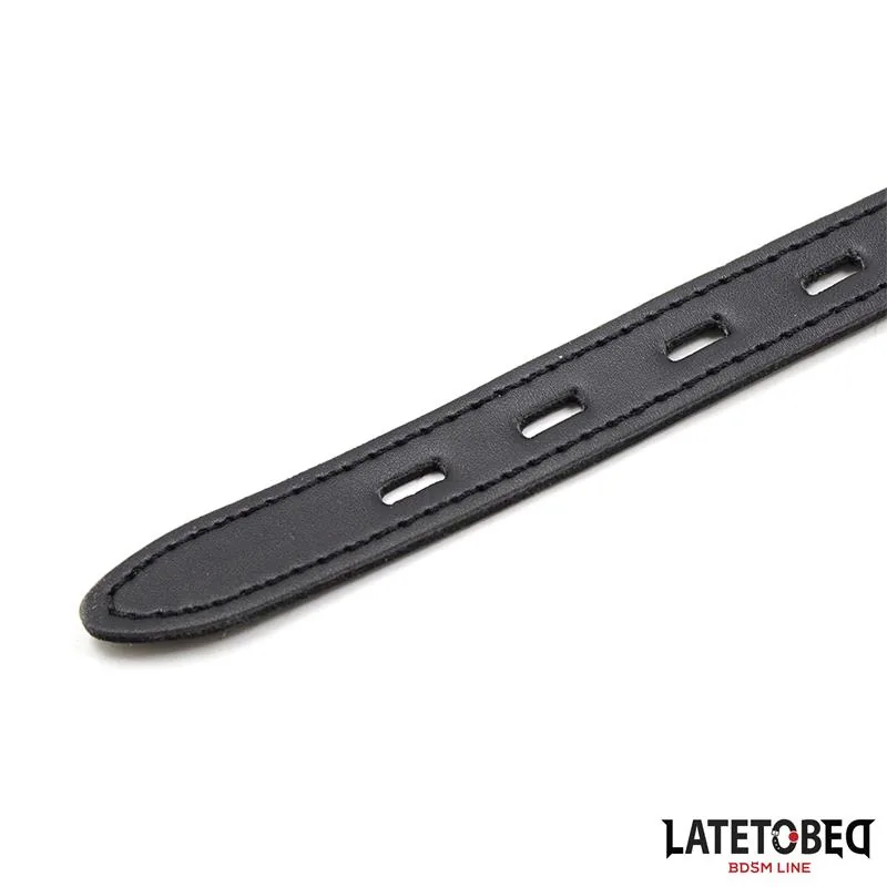 Mordaça de Bola em Silicone LateToBed Rosa — vista 5 de 5