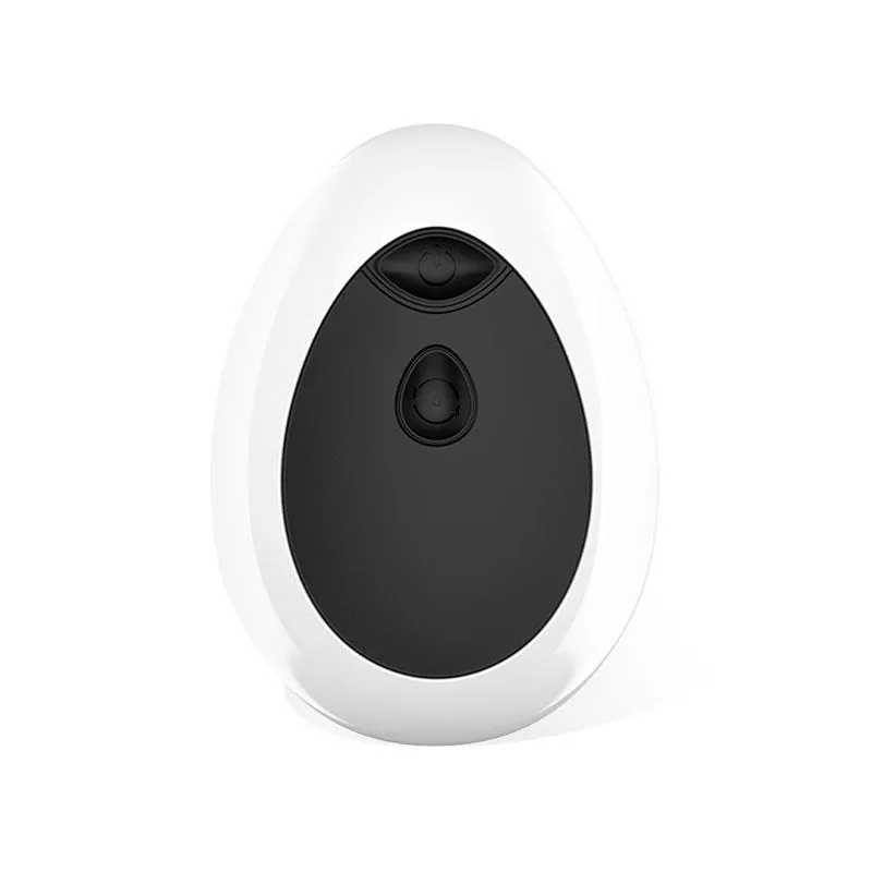 Massajador de Próstata Recarregável com Comando à Distância Dwen — vista 3 de 8