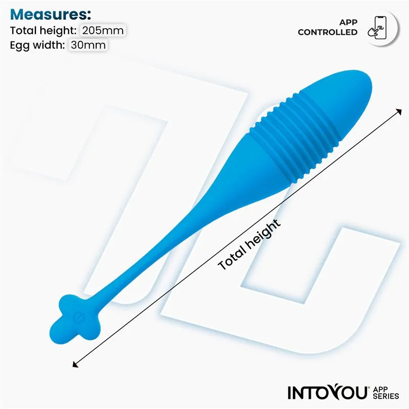 Vibrador Ovo com Movimento de Vaivém e Aplicação USB InToYou — vista 9 de 9