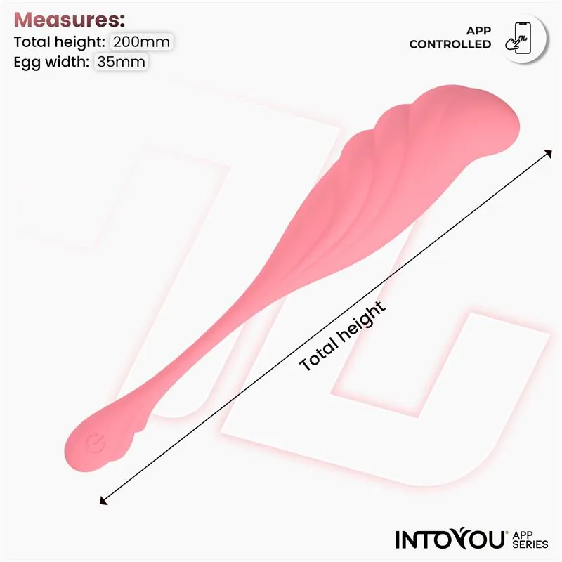 Vibrador Ovo com Movimento Ondulante e Aplicação USB InToYou — vista 9 de 9