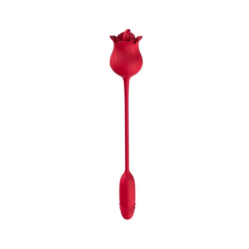 Vibrador Rosa com Língua e Vaivém USB Urban Sky — vista 5 de 15