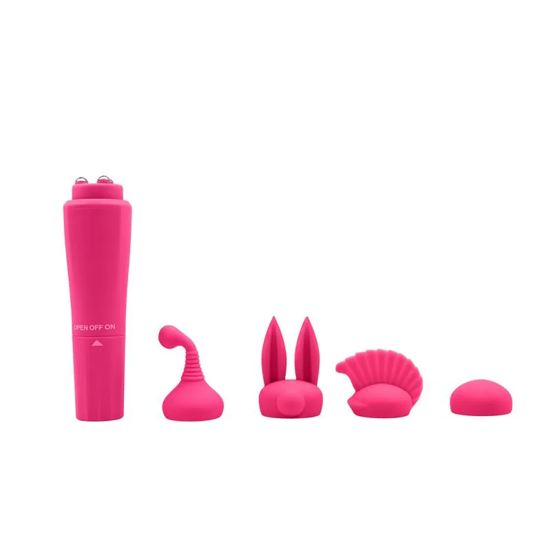 Vibrador Sweet com 4 Cabeças Intercambiáveis Chisa — vista 2 de 2