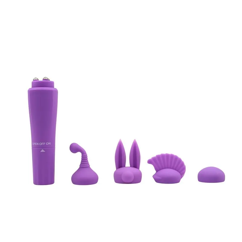 Vibrador Sweet com 4 Cabeças Intercambiáveis Roxo Chisa — vista 2 de 4